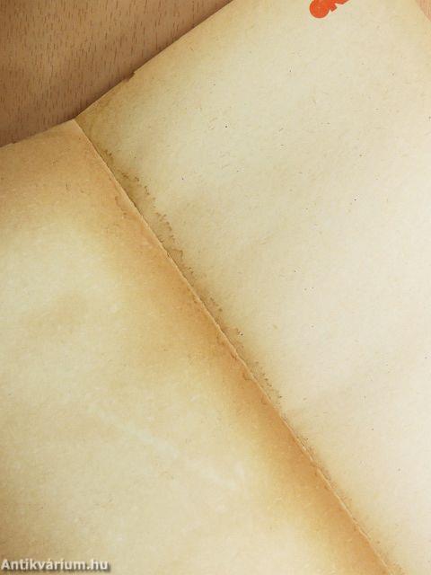 A Napkirály udvarában