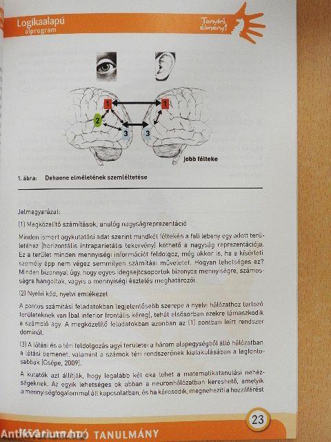 Megalapozó tanulmány a logikaalapú iskolai programok fejlesztéséhez