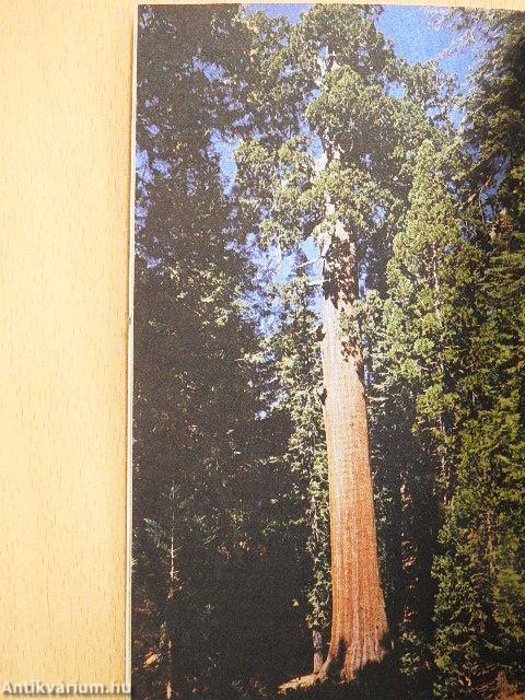 Legendás növények