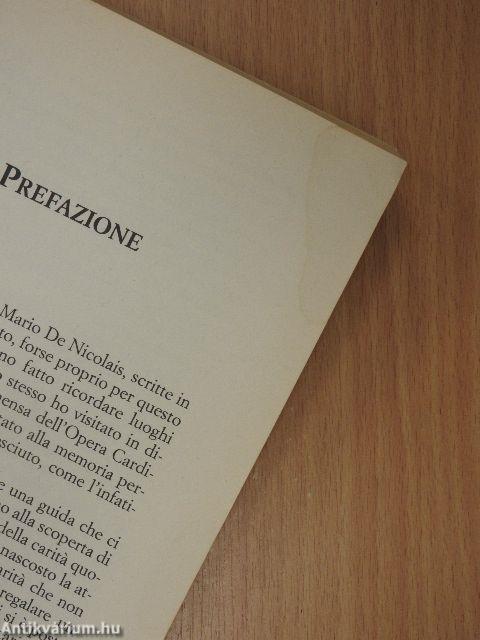 Le viscere della cittá