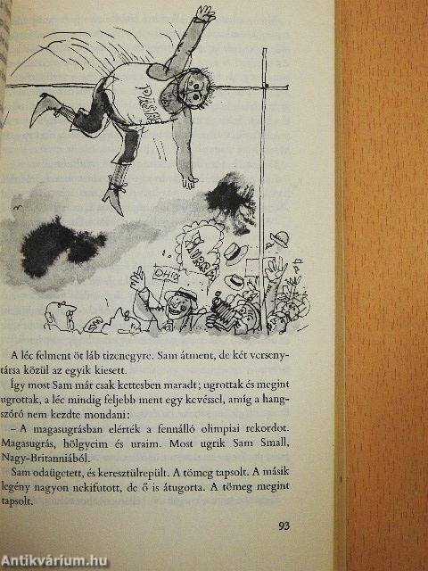 Sam Small csodálatos élete