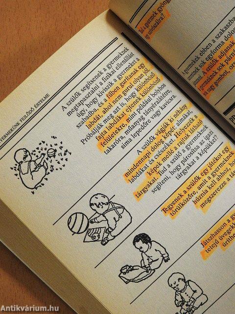 Gyermekünk fejlődő értelme