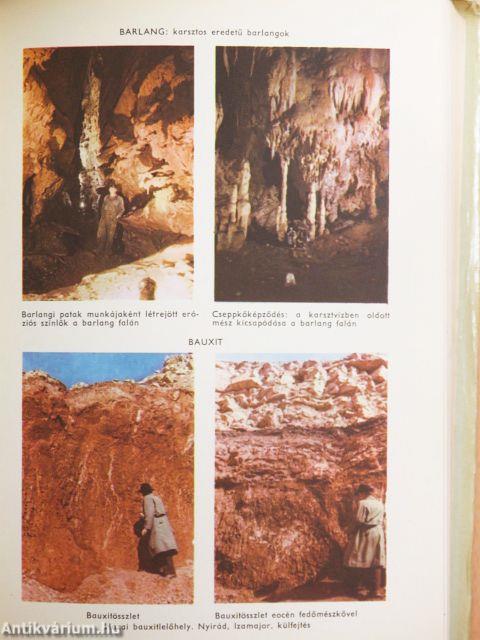 Természettudományi lexikon 1-6.