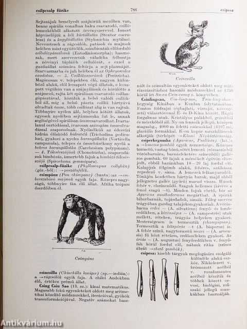 Természettudományi lexikon 1-6.