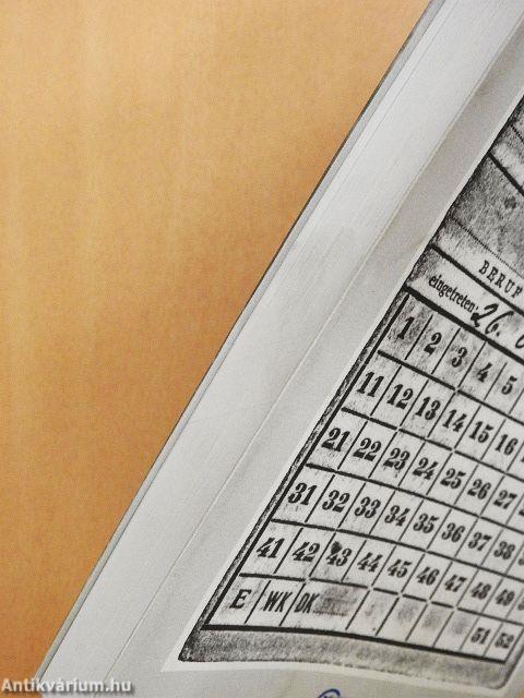 Magyarok az SS ausztriai lágerbirodalmában