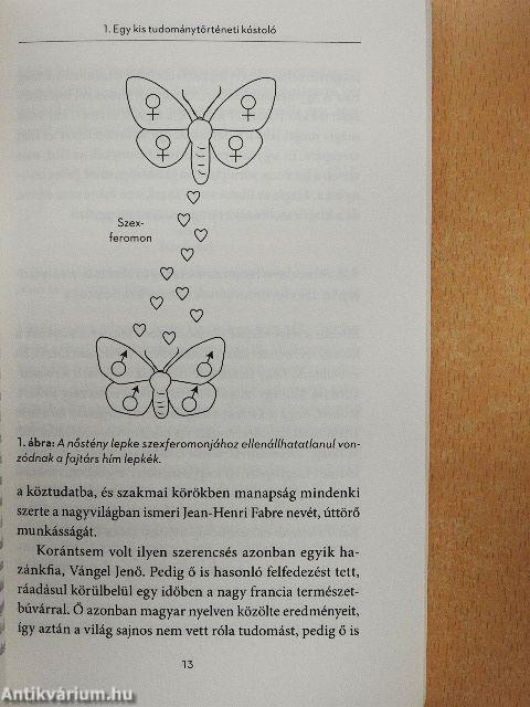 A csábítás illatai