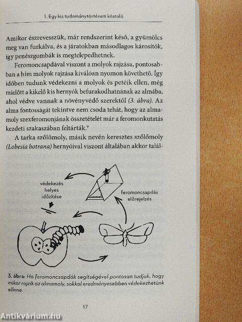 A csábítás illatai