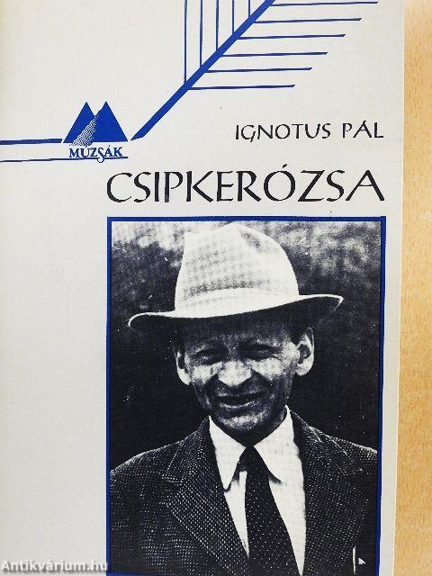 Csipkerózsa
