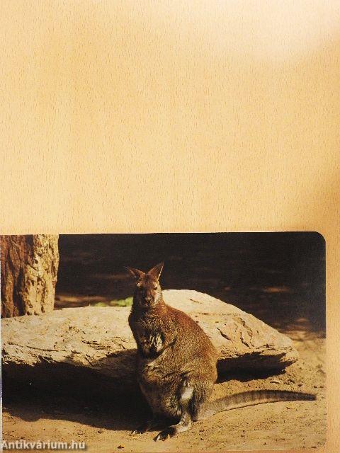 Ki lakik az állatkertben