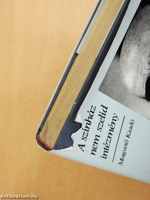 A színház nem szelíd intézmény