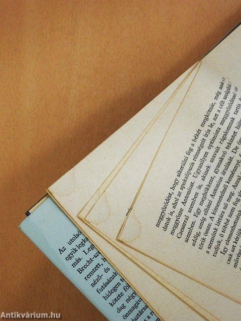 A színház nem szelíd intézmény