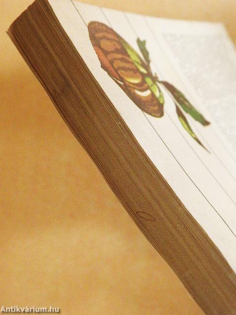 Minden héten szüret