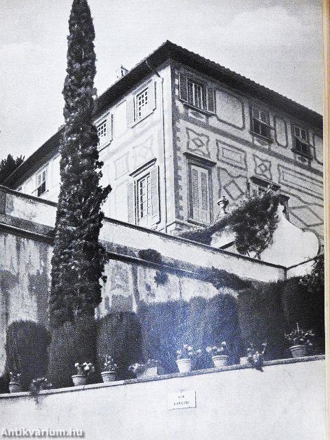 Kőbe zárt fájdalom