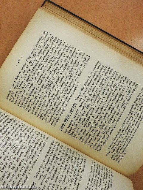 A magyar irodalom története I.