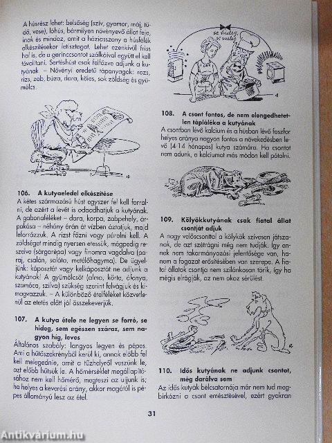 400 tanács kutyabarátoknak