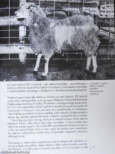 Űrutazás a régmúltban