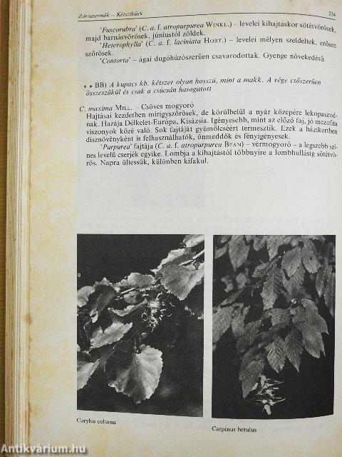 Díszfák, díszcserjék termesztése és felhasználása