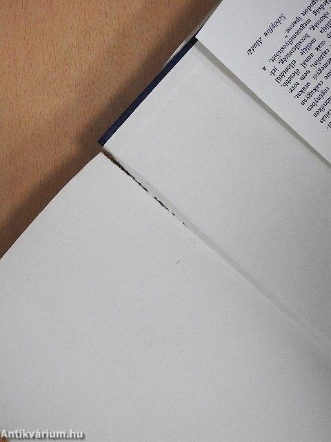 A Noszty fiú esete Tóth Marival