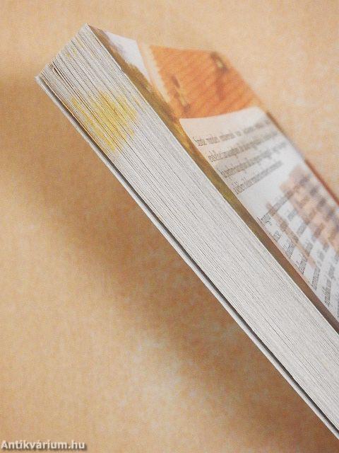 Eresz alatt fecskefészek