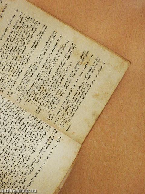 A szamosparti öreg ház