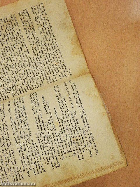 A szamosparti öreg ház