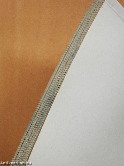 Az élet első tizenkét hónapja