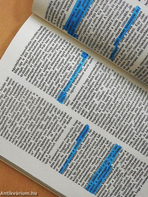 Az élet első tizenkét hónapja