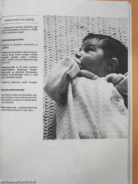 Az élet első tizenkét hónapja