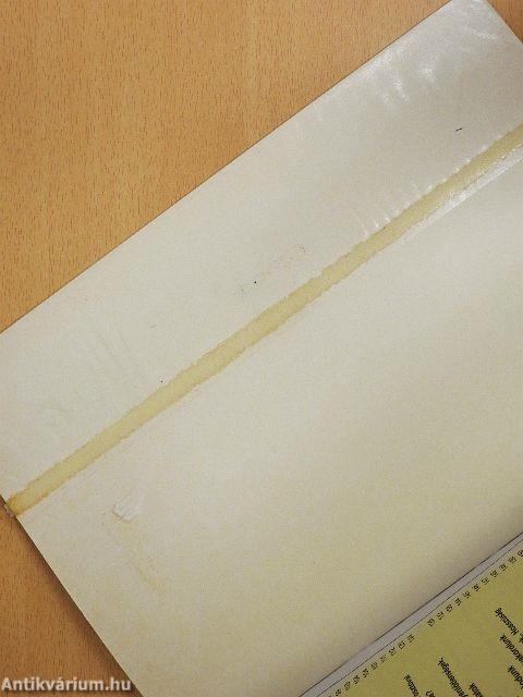 Negyedik matematikakönyvem