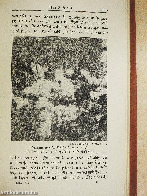 Bibliothek der Unterhaltung und des Wissens 1920/11. (gótbetűs)