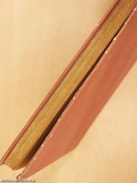 A hasi katasztrófák és azok kórhatározása