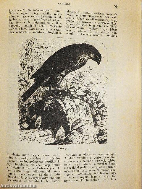 Brehm - Az állatok világa (Kis Brehm) II.