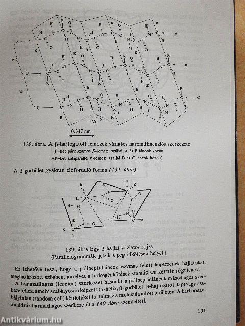 Élelmiszer-kémia 1.