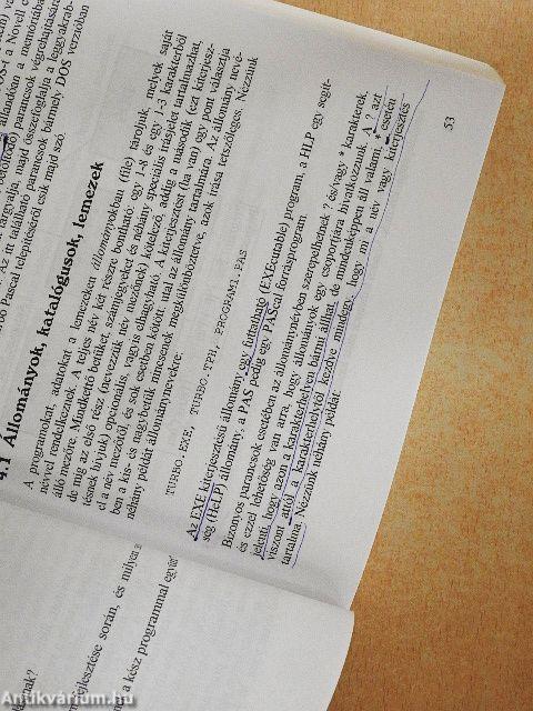 Programozás tankönyv I.