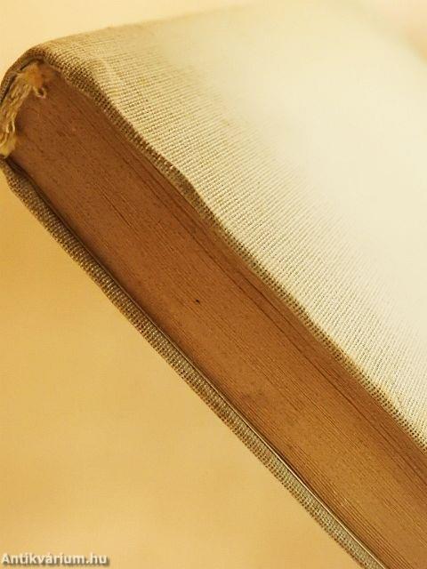 Huckleberry Finn kalandjai