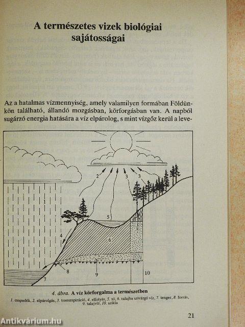 A halasvízről horgászoknak
