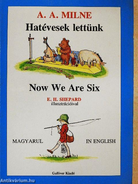 Hatévesek lettünk