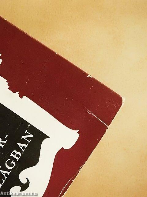 Alice Tükörországban