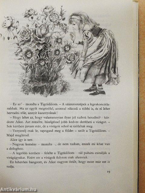 Alice Tükörországban