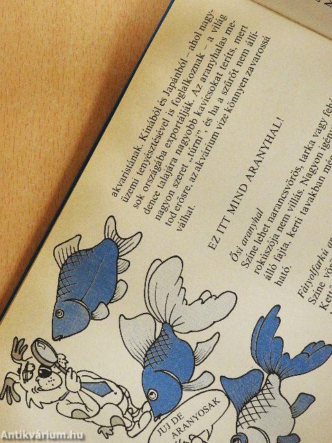 Jó játék az akvárium