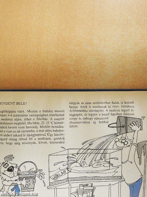 Jó játék az akvárium