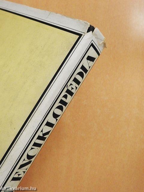 Budapest enciklopédia