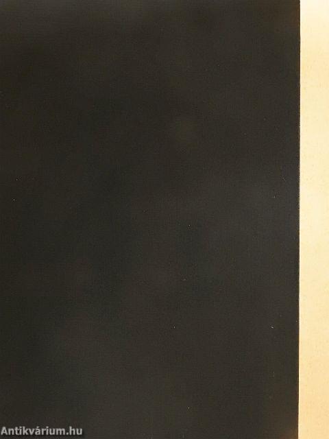 Utazás ismeretlen állomás felé 1849-1856