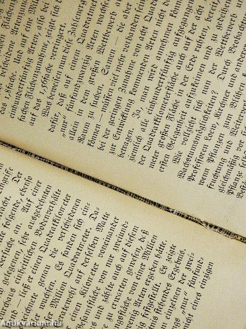 Bibliothek der Unterhaltung und des Wissens 1919/11. (gótbetűs)