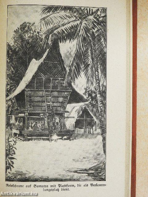 Bibliothek der Unterhaltung und des Wissens 1919/6. (gótbetűs)