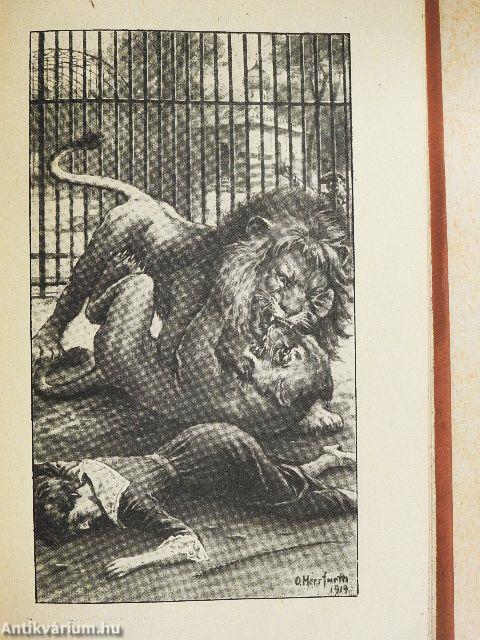 Bibliothek der Unterhaltung und des Wissens 1919/8. (gótbetűs)