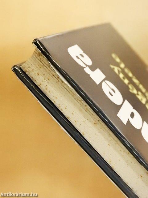 A regény művészete