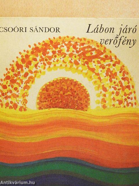 Lábon járó verőfény