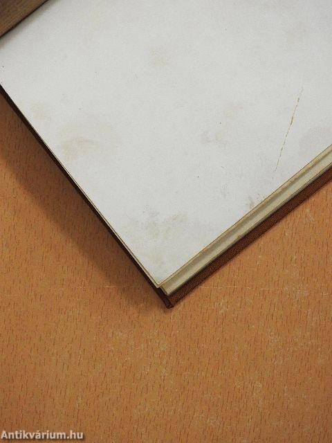 A képnézés és képalkotás művészete