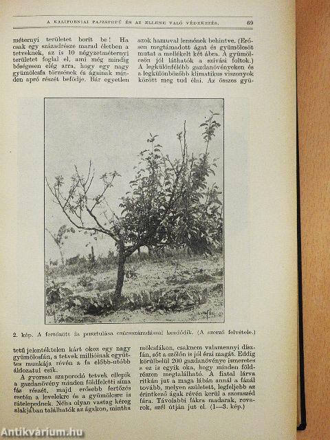 Természettudományi Közlöny 1934. január-december/Pótfüzetek a Természettudományi Közlönyhöz 1934. január-december